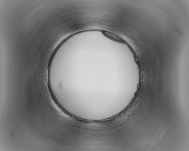 X0000110961476200907171639