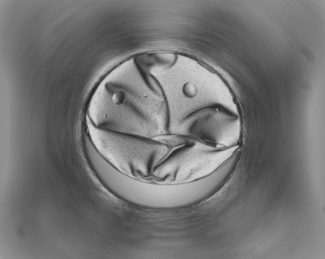 X0000110961477200907171639