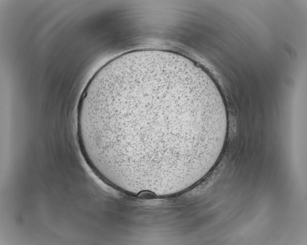 X0000110961479200907171639