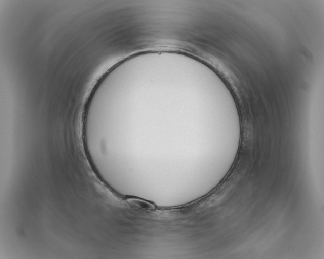 X0000110961480200907171639