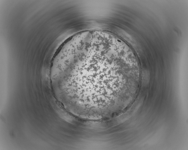 X0000110961481200907171639