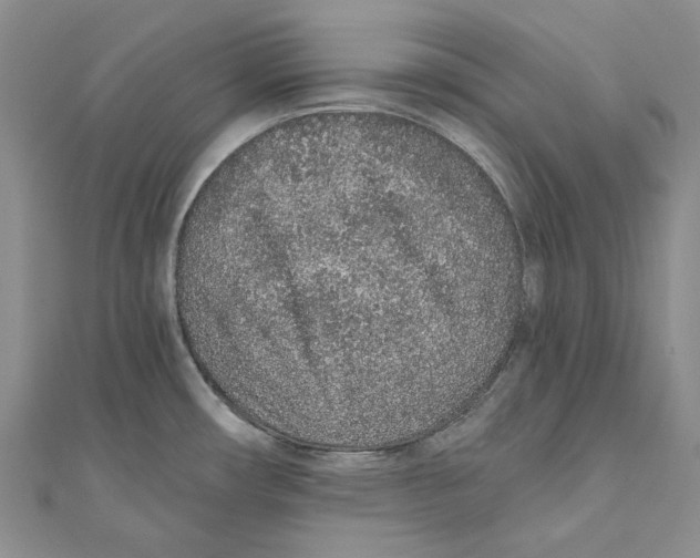 X0000110961482200907171639