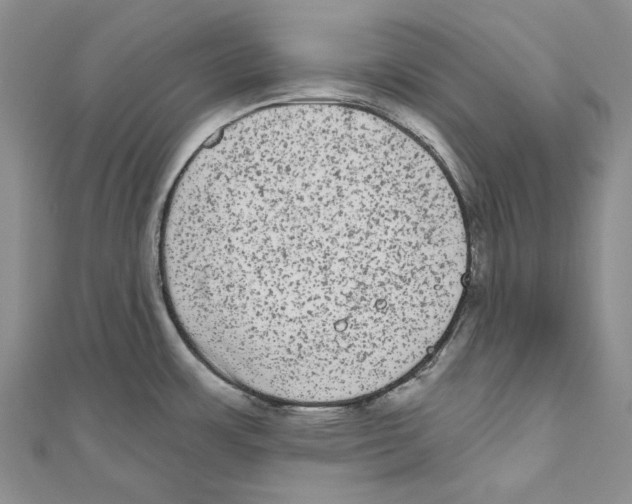 X0000110961483200907171639