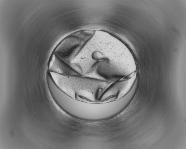 X0000110961484200907171639