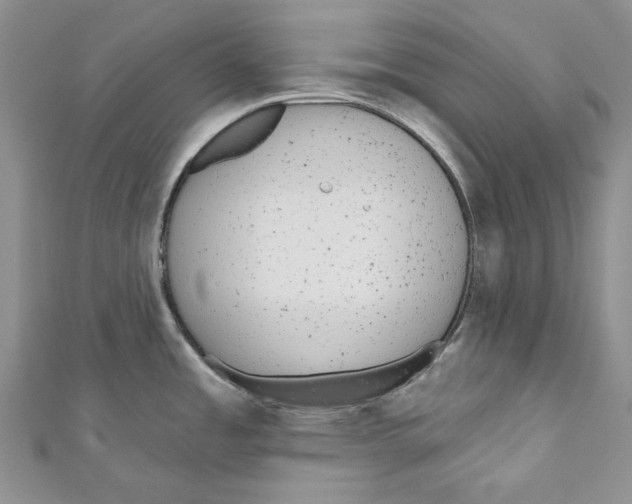 X0000110961485200907171639