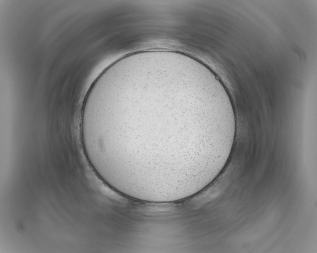 X0000110961486200907171639