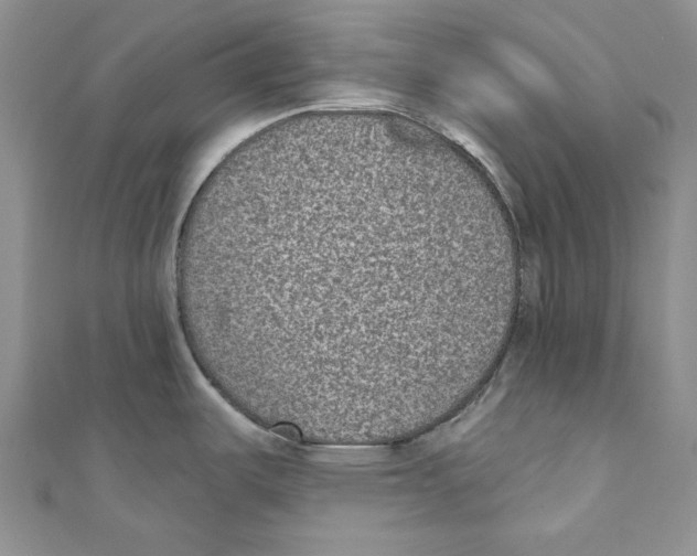 X0000110961487200907171639