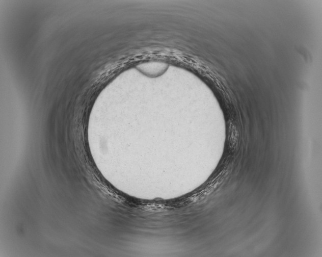 X0000110961489200907171638