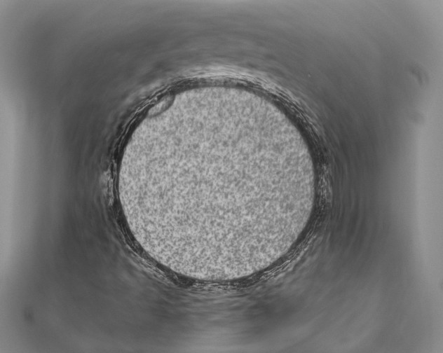 X0000110961493200907171638