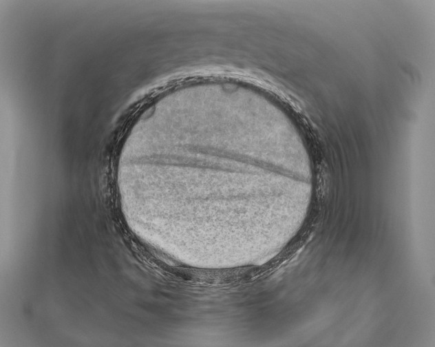 X0000110961494200907171638