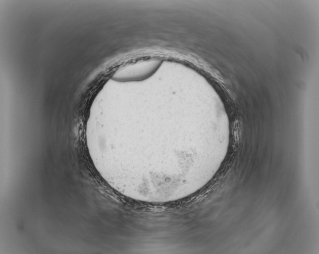 X0000110961495200907171638