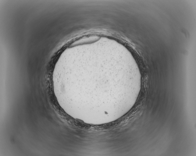 X0000110961496200907171638