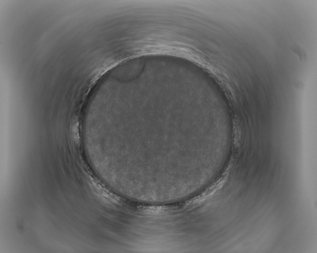 X0000110961497200907171638