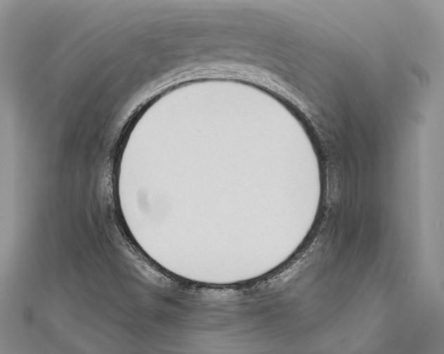 X0000110961498200907171638