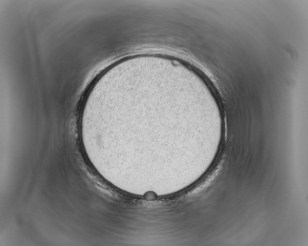 X0000110961501200907171638