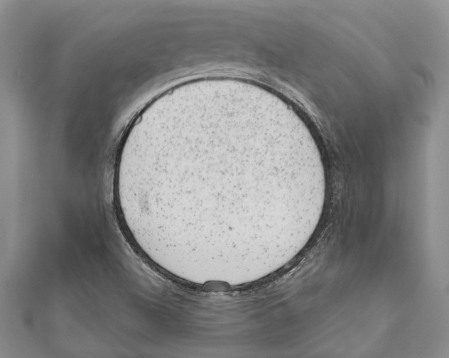 X0000110961504200907171638