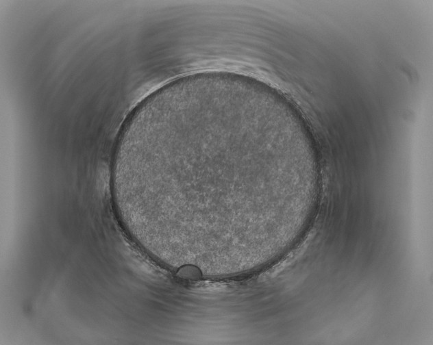 X0000110961505200907171639