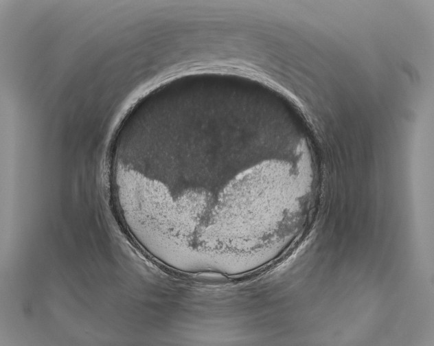 X0000110961506200907171639