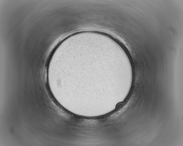 X0000110961509200907171639