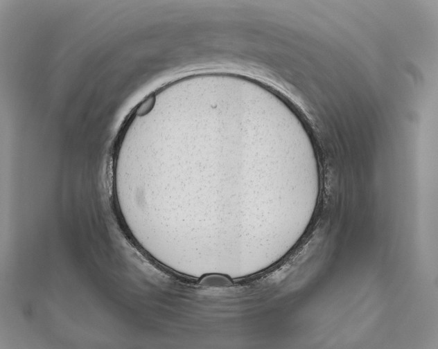 X0000110961510200907171639