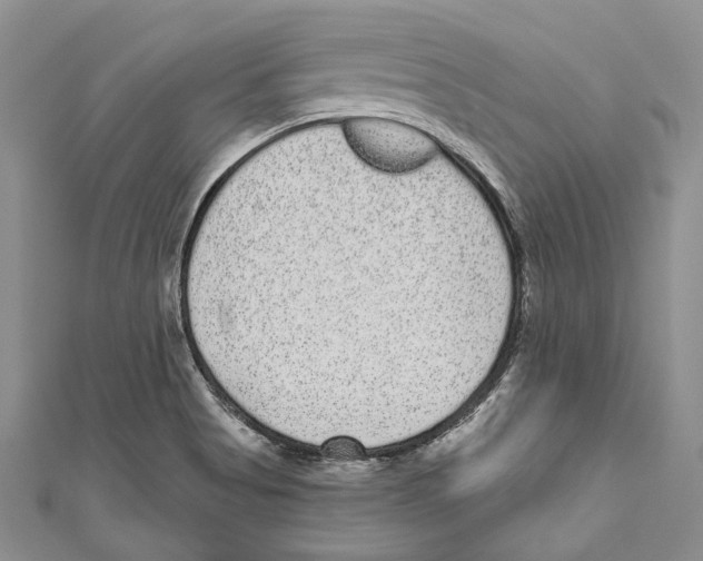 X0000110961513200907171639