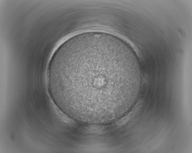 X0000110961514200907171639