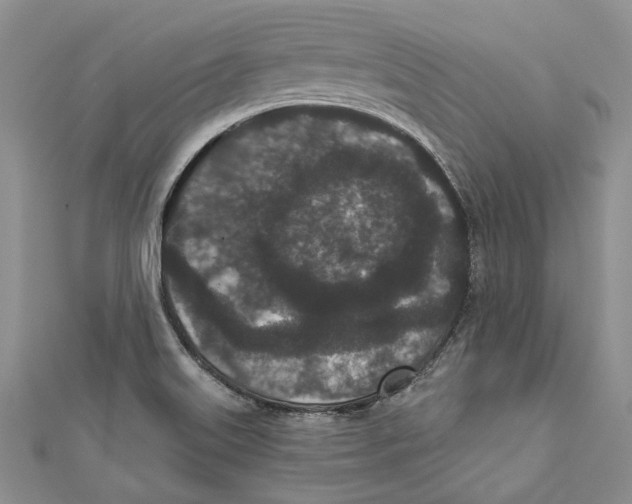 X0000110961515200907171639