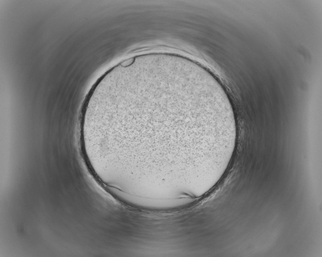 X0000110961518200907171639