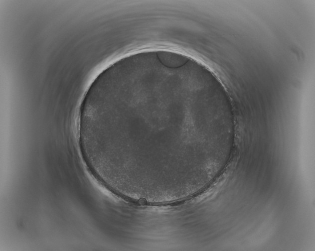 X0000110961519200907171639