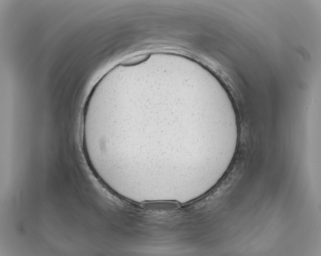 X0000110961520200907171639