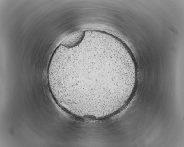 X0000110961521200907171639