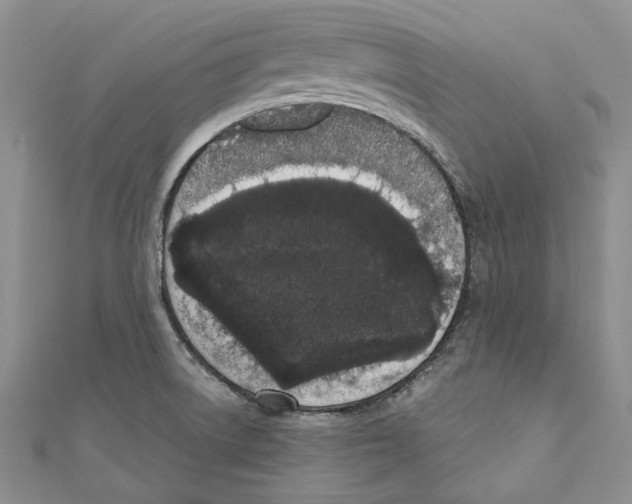 X0000110961522200907171639