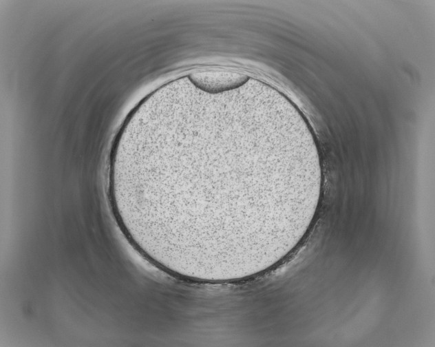 X0000110961523200907171639