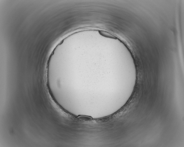 X0000110961524200907171639