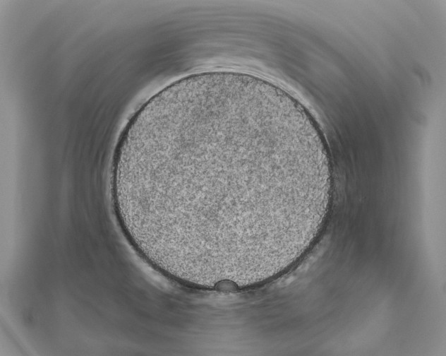 X0000110961525200907171639