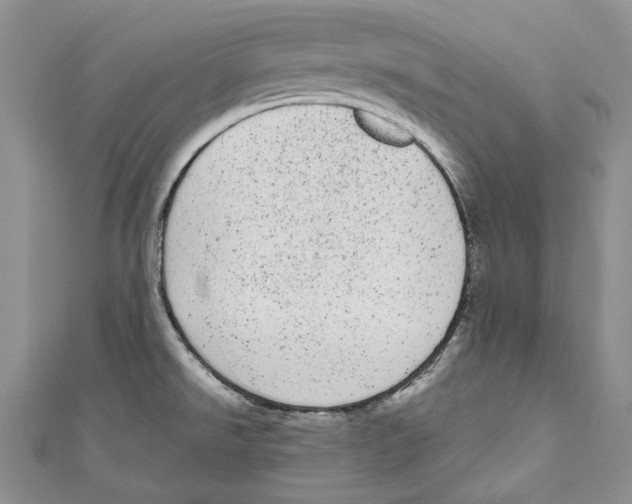 X0000110961526200907171639