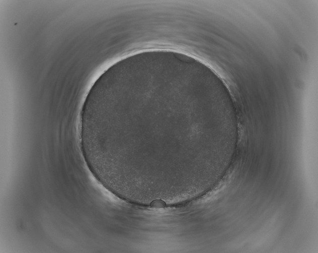 X0000110961527200907171639