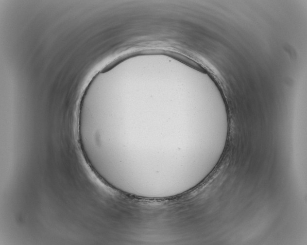 X0000110961528200907171639