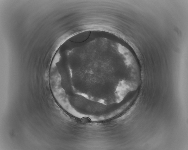 X0000110961529200907171639