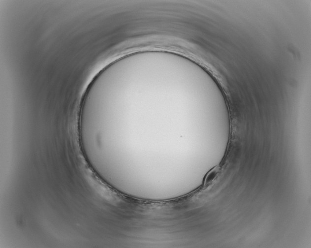 X0000110961530200907171639