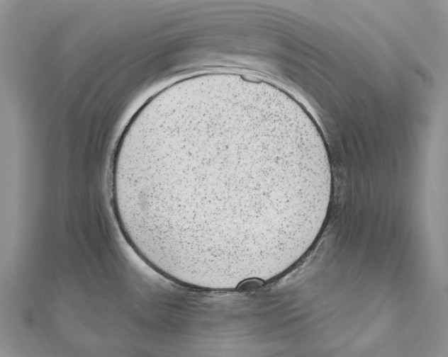 X0000110961531200907171639