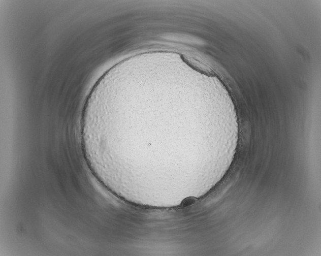 X0000110961535200907171639