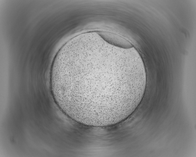 X0000110961536200907171639