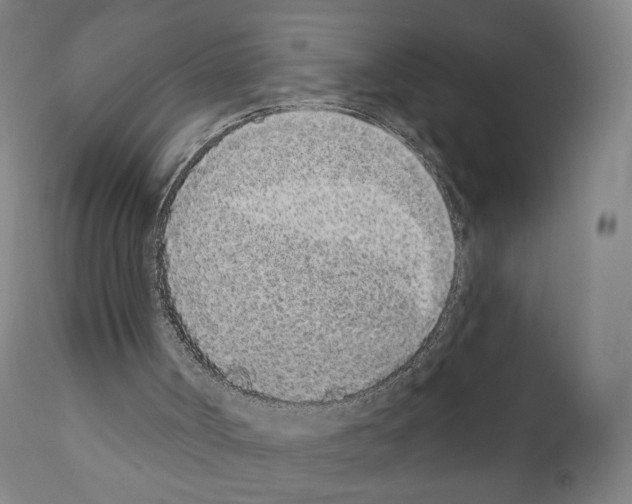 X0000110960002200907311117