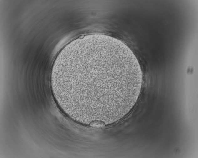 X0000110960004200907311117