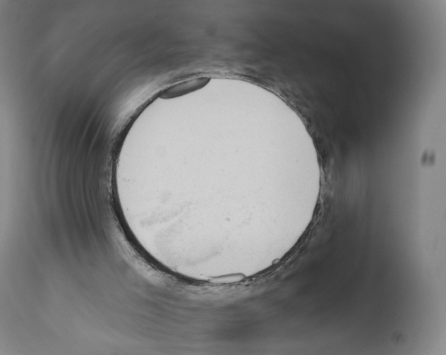 X0000110960005200907311117