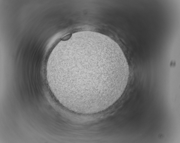 X0000110960006200907311117