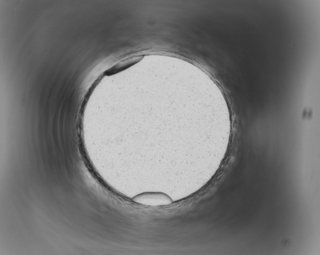 X0000110960007200907311117