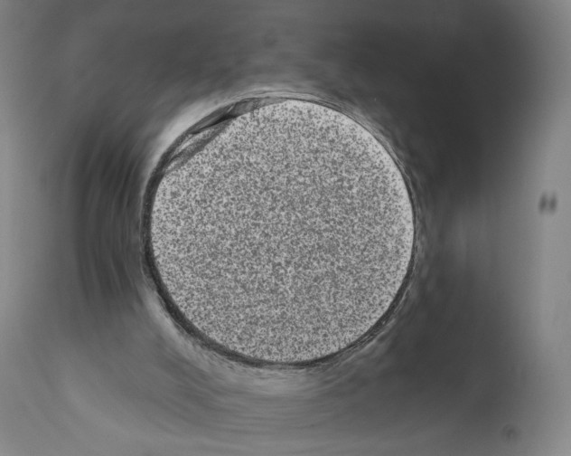 X0000110960008200907311117