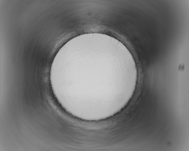 X0000110960010200907311117